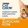Упаковка влажного корма для взрослых кошек Purina Cat Chow Adult с курицей и цуккини 85 г x 26 шт - 5