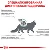 Сухой корм Royal Canin SATIETY WEIGHT MANAGEMENT CAT для взрослых кошек, снижение и контроль веса 400 г - 6