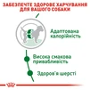 Сухой корм для собак Royal Canin Mini Adult мелких пород старше 10 месяцев 8 кг - 4