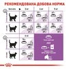 Сухий корм Royal Canin Sterilised для стерилізованих котів від 1 до 7 років 4 кг - 4