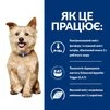 Сухой корм Hill's Prescription Diet k/d Kidney Care для собак 12 кг - 7