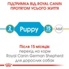 Сухой полнорационный корм для щенков Royal Canin German Shepherd Puppy собак породы немецкая овчарка в возрасте до 15 месяцев 3 кг - 5