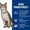 Лечебный корм Hill's PD k/d Kidney Care Tuna с тунцом для кошек при почечной и/или сердечной недостаточности 3 кг - 3