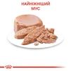ПАК. Влажный корм для новорожденных котят Royal Canin Mother &amp;amp; Babycat Cans 6 шт по  195 г - 5