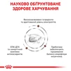 Сухой корм для взрослых кошек Royal Canin Gastro Intestinal Cat 2 кг - 4