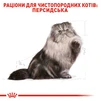 Сухий корм для дорослих кішок Royal Canin Persian Adult 2 кг - 3