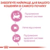 Сухий корм для новонароджених кошенят та кішок Royal Canin Mother &amp; Babycat 400 г - 6