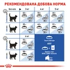 Сухий корм для домашніх котів Royal Canin Indoor LongHair 2 кг - 2