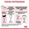 ПАК. Вологий корм Royal Canin KITTEN INSTINCTIVE IN GRAVY (Соус) для кошенят 12шт по 85 г - 4