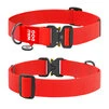 Ошейник для собак водостойкий WAUDOG Waterproof c QR-паспортом, металлическая пряжка-фастекс, Ш 40 мм, Дл 43-70 см, красный - 1