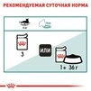 ПАК.Вологий корм Royal Canin INSTINCTIVE+7 для кішок, що старіють (Соус) 12шт по 85 г - 6