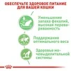 ПАК.Вологий корм Royal Canin DIGEST SENSITIVE для дорослих кішок з чутливим травленням 12шт по 85 г - 3