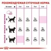 Сухий корм Royal Canin EXIGENT SAVOUR для дорослих котів, вибагливих у харчуванні 400 г - 2