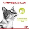 ПАК.Влажный корм Royal Canin SENSORY SMELL JELLY (Желе) для взрослых кошек привередливых в питании 12 шт по 85 г - 3