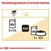 ПАК. Вологий корм Royal Canin BRITISH SHORTHAIR ADULT для дорослих кішок Британської породи 12шт по 85 г - 4