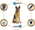 Сухой корм для взрослых немецких овчарок Advance Dog Maxi German Shepherd 12 кг (8410650171579) - 2