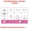ПАК. Влажный корм для новорожденных котят Royal Canin Mother &amp;amp; Babycat Cans 6 шт по  195 г - 7