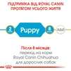 Сухий повнораційний корм для цуценят Royal Canin Chihuahua Puppy породи чихуахуа віком від 2 до 8 місяців 1.5 кг - 5