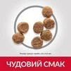 Сухой корм для щенков малых и миниатюрных пород Hill&rsquo;s SCIENCE PLAN Puppy Smal&amp;amp;Mini с ягненком и рисом, 1,5 кг - 4