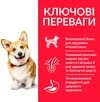 Сухой корм для взрослых собак малых и миниатюрных пород Hill&rsquo;s Science Plan Adult Small&amp;amp;Mini с курицей 1.5 кг - 3