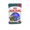 ПАК. Вологий корм Royal Canin APPETITE CONTR CIG (Соус) для дорослих кішок, контроль випрошування корму 12 шт по 85 г - 2