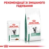 ПАК.Лікувальний корм Royal Canin Diabetic Feline Pouches 12ШТ по 85 г - 8