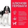 Сухий корм для дорослих собак середніх порід Hill&rsquo;s Science Plan Adult Medium Breed з ягням та рисом 2.5 кг - 3