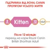 Сухой корм для котят Royal Canin Kitten British Shorthair 2 кг - 3