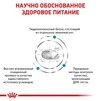 Сухий корм Royal Canin Hypoallergenic Small Dog &ndash; для собак дрібних порід при алергіях, 1 кг - 3