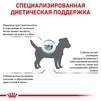 Сухий корм Royal Canin Hypoallergenic Small Dog &ndash; для собак дрібних порід при алергіях, 1 кг - 2