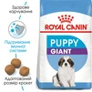 Сухой корм для щенков гигантских пород Royal Canin Giant Puppy до 8 месяцев 1 кг - 2