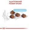 Сухий корм Royal Canin Mother and Babycat для кошенят до 4 місяців 10 кг - 5
