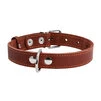 Ошейник "CoLLaR" одинарный (ширина 35мм, длина 48-63см), коричневый - 3
