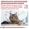 ПАК.Влажный лечебный корм Royal Canin Urinary S/O Moderate Calorie для котов склонных к лишнему весу и МКБ 12шт по 85 г - 3