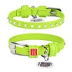 Нашийник для собак шкіряний WAUDOG Glamour з QR паспортом, з клейовими стразами, Ш 9 мм, Дл 18-21 см, салатовий - 1