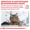 Royal Canin Gastro Intestinal Moderate Calorie Cat Сухий Корм Для Котів При Розладах Перетравлення 2 кг - 6