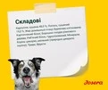 Сухий корм для дорослих собак Josera Lachs &amp; Kartoffel 15 кг - 4