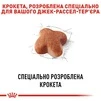 Корм Royal Canin Jack Russell Terrier Adult сухий для собак породи Джек рассел  1.5 кг - 4