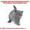 Сухий корм Royal Canin KITTEN BRITISH SHORTHAIR для кошенят Британської породи 10 кг - 2