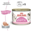 ПАК. Влажный корм для новорожденных котят Royal Canin Mother &amp;amp; Babycat Cans 6 шт по  195 г - 3