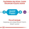 Сухой корм для щенков гигантских пород Royal Canin Giant Puppy до 8 месяцев 1 кг - 5