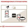 ПАК.Вологий корм Royal Canin AGEING+12 для старіючих котів (Соус)12шт по 85 г - 4
