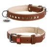 Нашийник для собак шкіряний WAUDOG Soft з QR паспортом, металеві прикраси, Ш 20 мм, Дл 30-37 см - 1