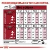 Сухой корм Royal Canin MEDIUM ADULT 7+ для стареющих собак Средних пород 4 кг - 3