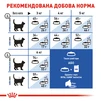 Сухой корм для домашних кошек Royal Canin Indoor 400 г - 6