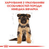 Сухой полнорационный корм для щенков Royal Canin German Shepherd Puppy собак породы немецкая овчарка в возрасте до 15 месяцев 12 кг - 6