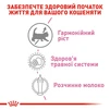 Молоко для новонароджених кошенят Royal Canin Babycat Milk 300 г - 4