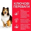 Сухий корм для собак середніх порід Hill&rsquo;s Science Plan Adult Sensitive Stomach&amp;amp;Skin Medium Breed з куркою 2.5 кг - 3