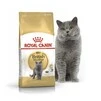 Сухий корм Royal Canin British Shorthair Adult для котів породи британська короткошерста від 12 місяців 2 кг (НФ-00000226) - 1