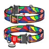 Нашийник для собак нейлоновий WAUDOG Nylon з QR паспортом, малюнок "Вітраж", металевий пряжка-фастекс, Ш 20 мм, Дл 24-40 см - 1